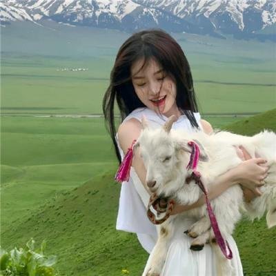 灵魂摆渡 在线观看封面